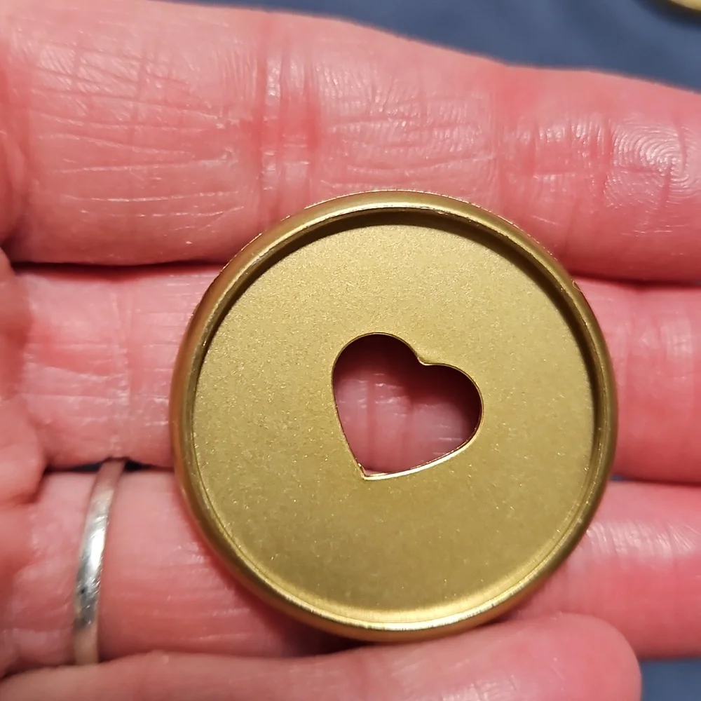Gold Medium Planner Discs